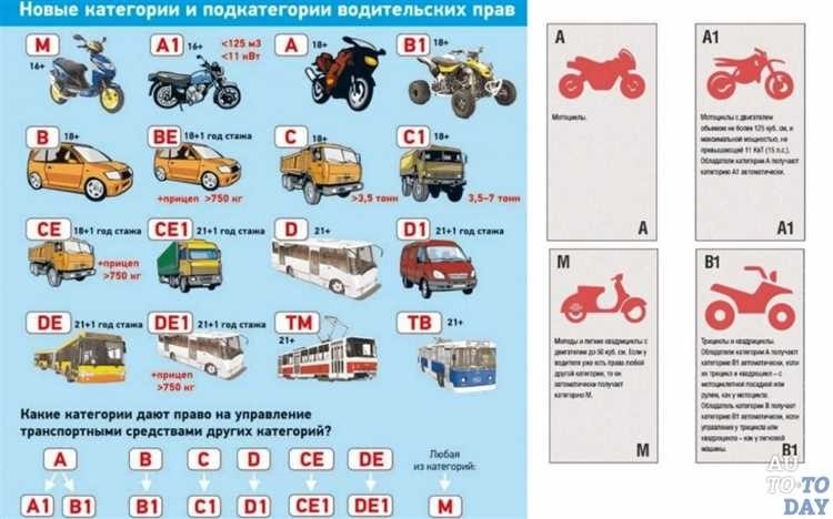 Категория в1 что это и какие преимущества она предоставляет 