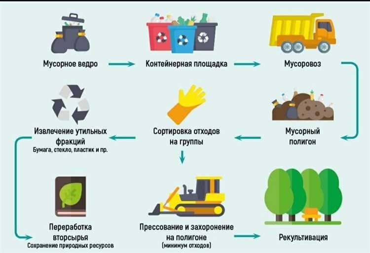 Куда обратиться если не вывозят мусор полезная информация и контакты