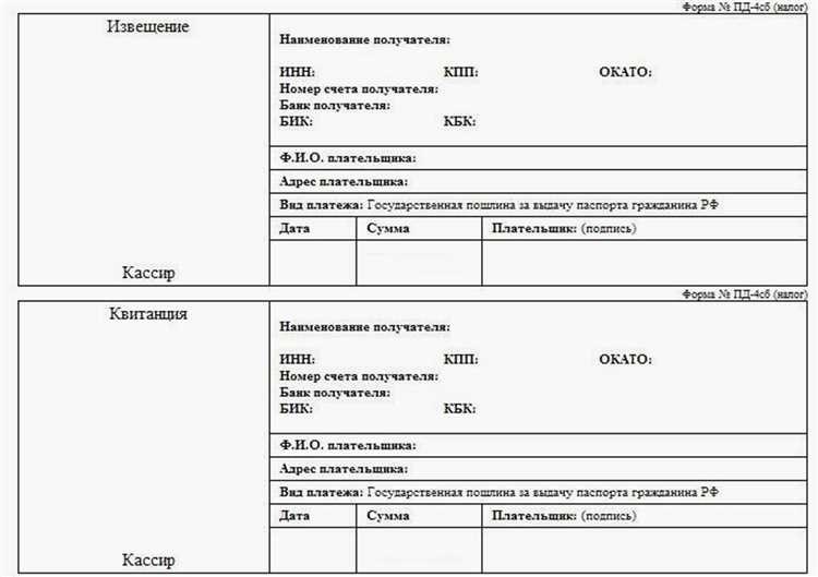 Онлайн оплата госпошлины за паспорт в россии - быстро и удобно