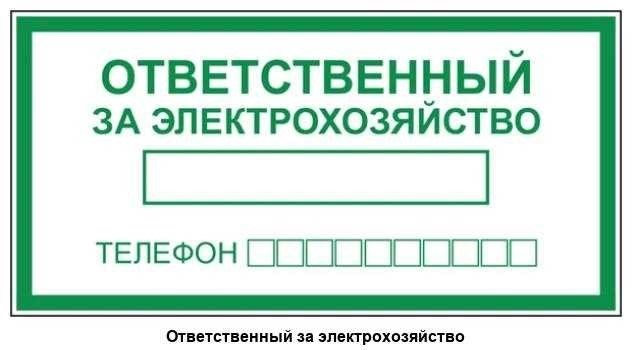 Ответственный за электрохозяйство решения экспертиза поддержка