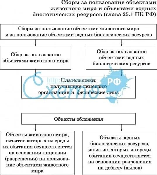 Сборы за использование объектов животного мира оптимизация и справедливость