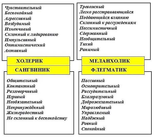 Терпила - кто это и какие черты характеризуют этот тип личности