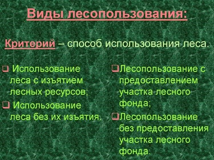 Земли лесного фонда особенности и правила использования